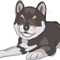 豆助 (@omamesuke2025) 's Twitter Profile