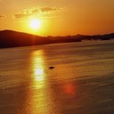 Dennis Russo - @Drpj1240 - Twitter