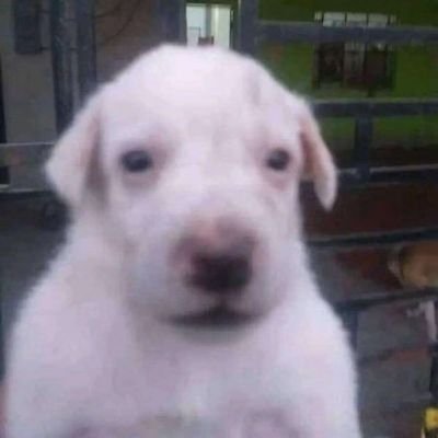 木辛さんのプロフィール画像