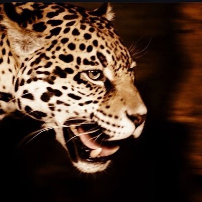 suosx_'s profile picture. 