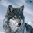 tenente59's profile image