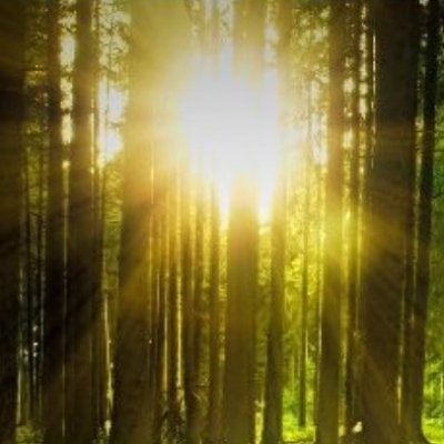 Wasabik9's profile picture. 