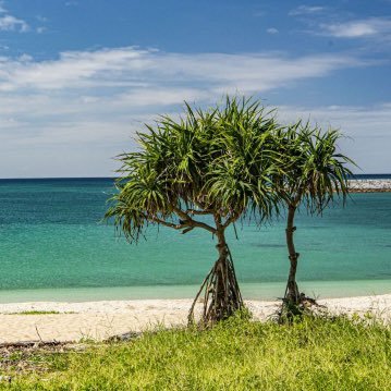 Qv3qhbFBRLgWwlx's profile picture. 楽しくお酒飲みたい🥃楽しく遊びたい👩‍❤️‍👨何か良い事ないかな💁🏻‍♂️ 180cm68kg 裏垢的なもの 面倒なことには巻き込まれたく無い、嘘、騙しはダメ🙅‍♂️クリーンに紳士的に、時にはエロく🙆‍♂️