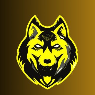ArushGupta25's profile picture. " Every day starts with expectations and ends with experience " -- Yellow Wolf https://t.co/FLURsXqMb9 || 15 yo   🇮🇳🇮🇳🇮🇳