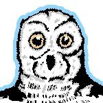 Sajbear666 - Owlbox 1.2 is out!さんのプロフィール画像