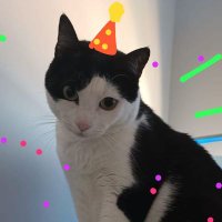 Dami (@shanksus) 's Twitter Profile Photo Dami (@shanksus) 's Twitter Profile Photo