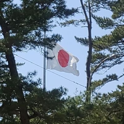 40台会社員
日本はご先祖様の努力で素晴らしい文化や文明が有ります。
正しい歴史を学び、精神を引き継ぎ、次世代の日本人に伝えていく、今凄く大事な時代だと思います。
みなさん 素晴らしい!
ドラクエウォーク サイクリング実施中
