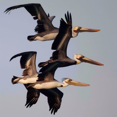 🌊✈️ Von den tiefen Ozeanen bis in den hohen Himmel! ✈️🌊