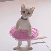 XiaoJeab💓 (@kcalym_i) 's Twitter Profile