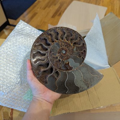 sgm_ts47081's profile picture. 興味：ジオパーク、博物館、進化古生物学…etc.
仕事：四国でジオパークに関するお仕事をしています