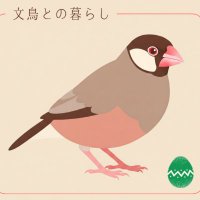 Jesse/ジェシー (@bird_kinako) 's Twitter Profile