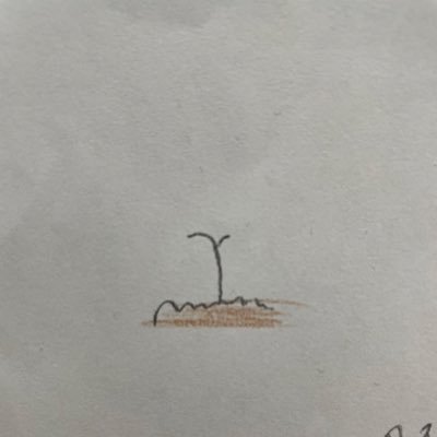 ぽよクマ（╹◡╹）さんのプロフィール画像