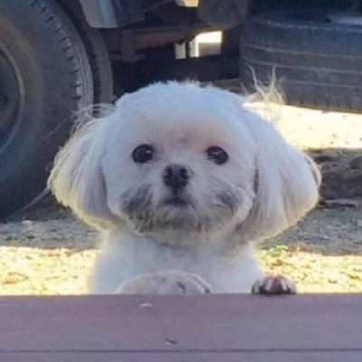 onnszftt's profile picture. 류혜영레몬과밀치회♡고윤정복숭아와제육볶음