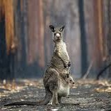 saniasuxarik's profile picture. lovle welding