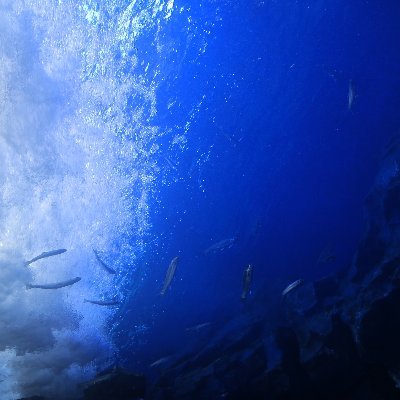 Don't re-upload my photo.無断転載禁止
泥濘と暗鬱
動物/たまごっち/古いもの/ファービーが好きな雑多なアカウント
聴覚障害者