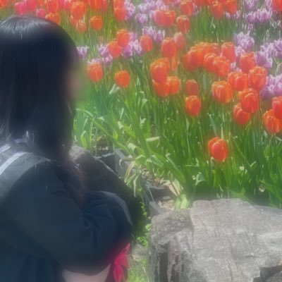 bZ5QtckBbpeTStP's profile picture. 