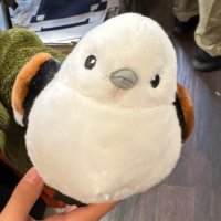 ジーニョ (@k23eye) 's Twitter Profile