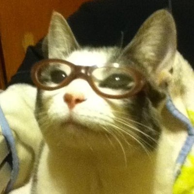 _stobeli's profile picture. eepy