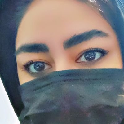 لیسانس حقوق و علوم سیاسی
فعال حقوق بشر و جامعه مدنی