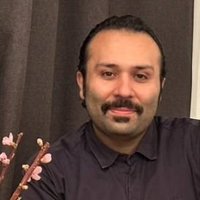 Nima Samani (@nima_complexity) 's Twitter Profile