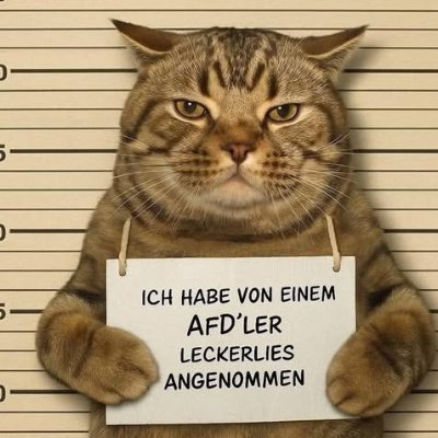 2Sunneblitz's profile picture. 