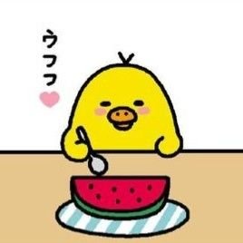 のぶぶさんのプロフィール画像