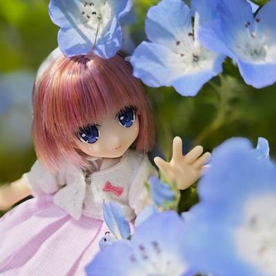 yumkeks's profile picture. 🇩🇪 → 🇯🇵 ✿ Mama 👱🏻‍♀️👩👶🏻 ✿ Katzen ✿ Azone Lil'Fairy & SugarCups ✿ Sammlerin ✿ Tokyo, Japan ✿ Figuren ✿ Fashion ✿  Axes Femme ✿ しまむら ✿ Silent Follow ♡