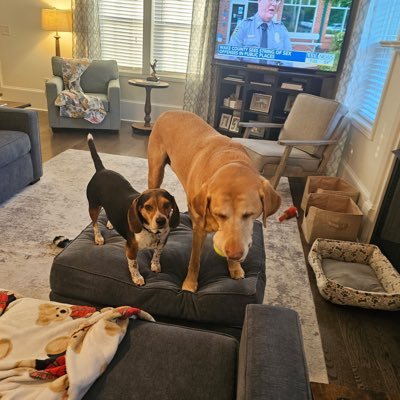 swingonplane's profile picture. 