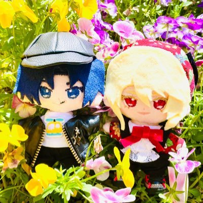かのさんのプロフィール画像