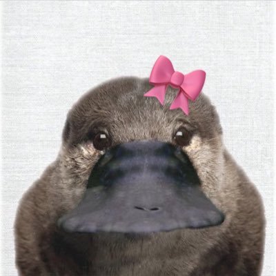 kings_a_st's profile picture. 