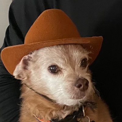OP Profile