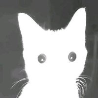 NNS (@comaiodo) 's Twitter Profile Photo NNS (@comaiodo) 's Twitter Profile Photo