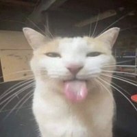 BettercallK10 (@beerbiryani420) 's Twitter Profile Photo BettercallK10 (@beerbiryani420) 's Twitter Profile Photo
