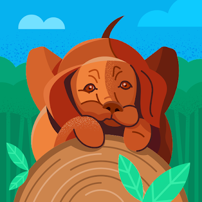 wa78240's profile picture. 