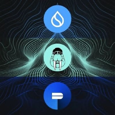 casperoel's profile picture. 