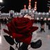 حلى (@ly5985701861857) Twitter profile photo حلى (@ly5985701861857) Twitter profile photo