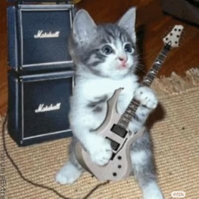 Nini__brownie's profile picture. 🇨🇳smib/艾昴，大量嬷狗中