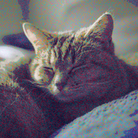 AlonelyCat (@alonelycat31) 's Twitter Profile Photo AlonelyCat (@alonelycat31) 's Twitter Profile Photo