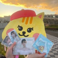 こたつ (@osidaooo) 's Twitter Profile