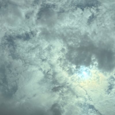 fg_255's profile picture. 👨🏻‍💻