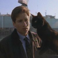 f(argo) (@itscoldandhot) 's Twitter Profile