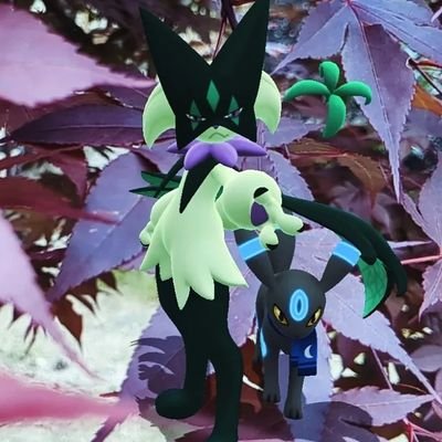 zJ9y8GMry6Xk0UH's profile picture. 山口県で活動中。AR好き、主に自然と撮ってます。その場の雰囲気と感覚だけで📸だから技術が向上しません😂PVP修行中🥹フォローやいいね、嬉しいです🥹無言フォロー🙏リポスト感謝🥰🙏インスタもやってます🫶

📎https://t.co/qS0X5mQeU7