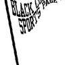 BCSPEditor's profile picture. Owner, AZEEZ Communications, Publisher/Editor Black College Sports Page