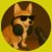 CorgiI avatar