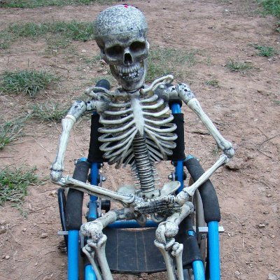 LifeMakesLead's profile picture. I watch memes  and draw stupid things I enjoy.