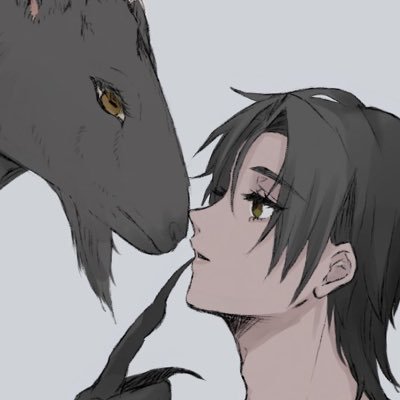うてな🦢さんのプロフィール画像