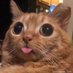 TeaAndTragady (@teaandtragady) Twitter profile photo TeaAndTragady (@teaandtragady) Twitter profile photo