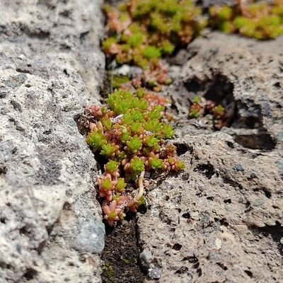 学校行きたくない