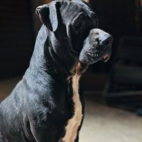 Sekhukhune T Phasha (@phashatsk) 's Twitter Profile