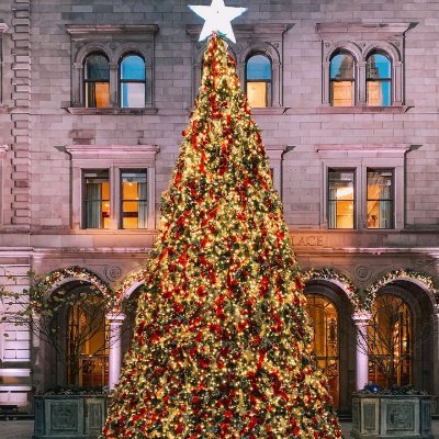 80reac5seind's profile picture. Leveling Up